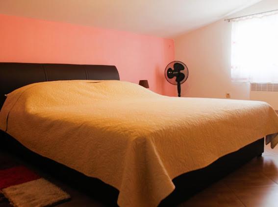 Ombla Appartement
